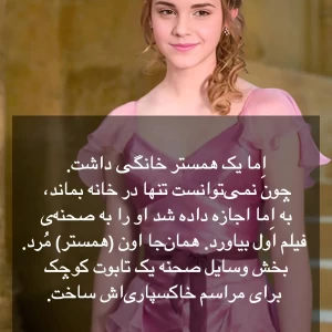 عکس فکت هری پاتر