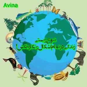عکس تنوع زیستی: زندگی در تمام اشکال رنگارنگش!