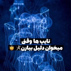 عکس تایپ ها وقتی می خواهند دلیل بیاورند: