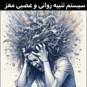 عکس سیستم تنبیه روانی در مغز
