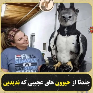 عکس چندتا از حیوون‌های عجیبی که ندیدین💫