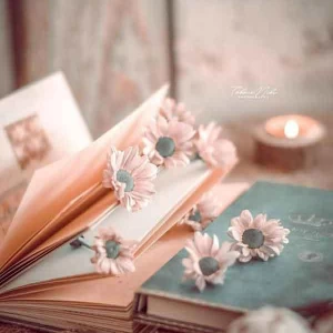 عکس معرفی چندتا کتاب فانتزی