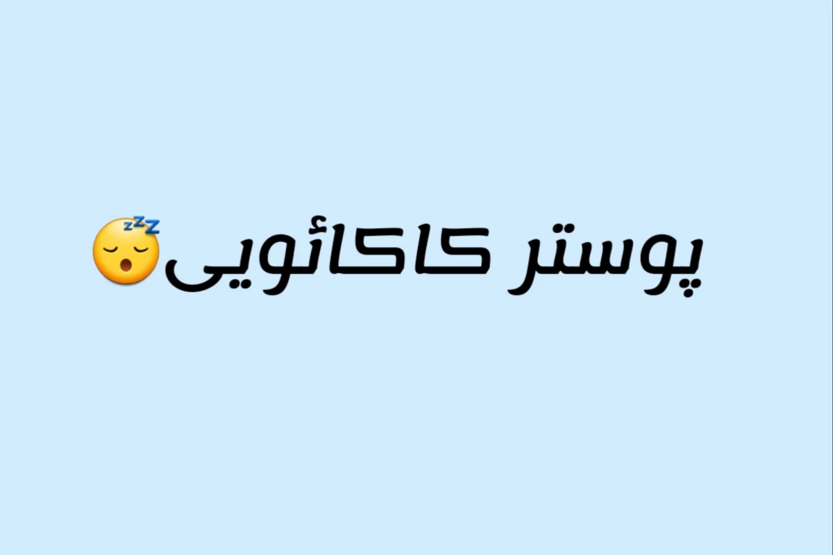 عکس 🐬: فقط یه کیپاپر درک میکنه...
