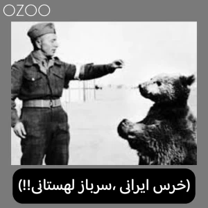 خرس ایرانی ، سرباز لهستانی!!