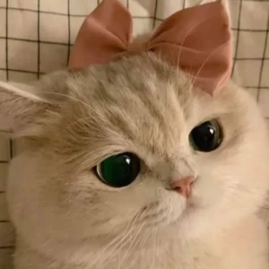 عکس 🍥:X ما X شما