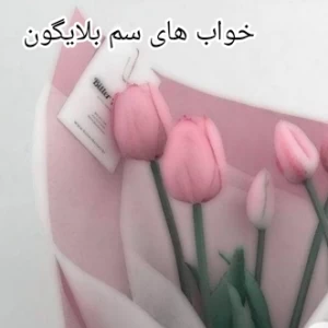 عکس خواب های سم بلایگون