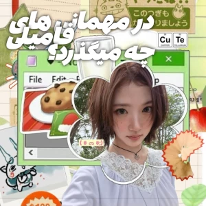عکس درمهمانی های فامیلی چه میگذرد؟