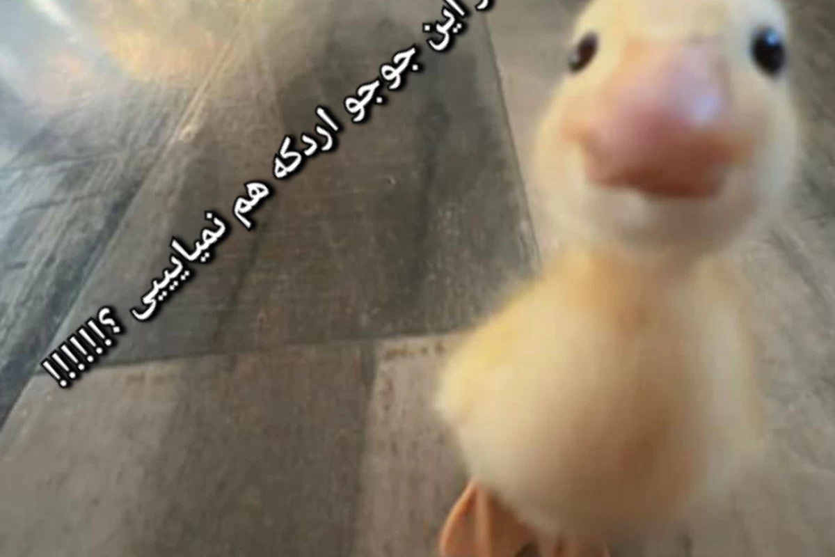 عکس بهترین استایل تو هر آهنگ (BABYMONSTER)