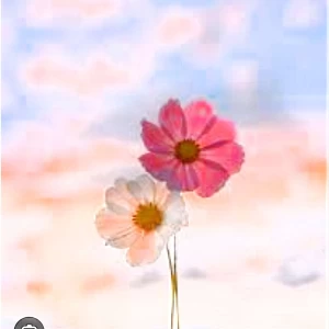 عکس خودت تو خونه درستش کن