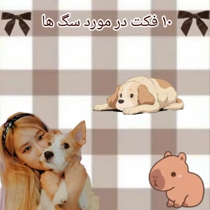 عکس ۱۰ فکت در مورد سگ ها