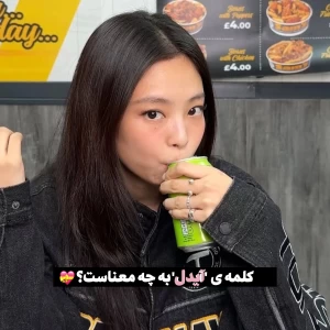 عکس کلمه 'آیدل' به چه معناست؟
