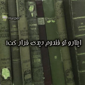 عکس اینارو تو فندوم دیدی فرار کن!