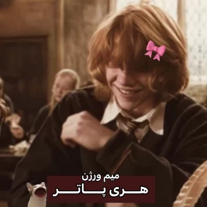 عکس اندکی میم هری پاتر ver