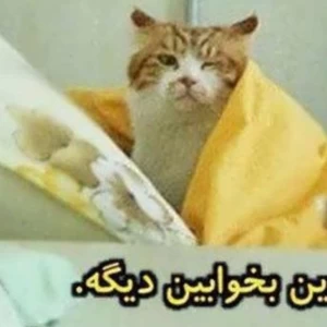 عکس میممم گوربااا