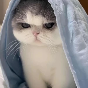 عکس چقدر به خودت استراحت می‌دهی؟