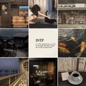 عکس تایپ intp