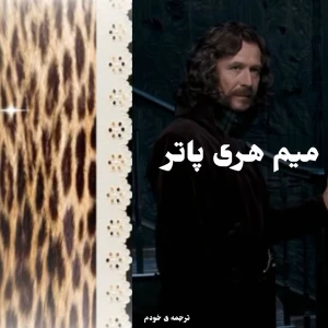 عکس میم هری پاتر