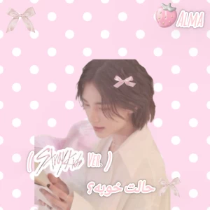 عکس حالت خوبه؟(Straykids ver.)