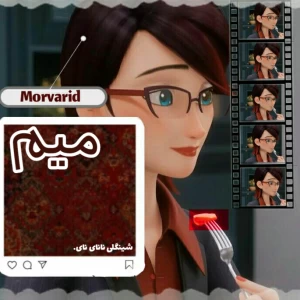 عکس میم : 2