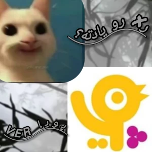عکس x رو یادته؟(پویا ver)