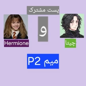 عکس میم p2