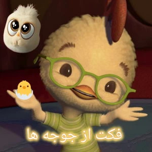 عکس ☆فکت از جوجه ها☆