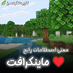 معنی اصطلاحات رایج ماینکرافت