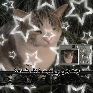 عکس چت جی پی تیت خن.گ شده ؟