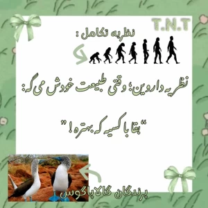 عکس داروین؛ دانشمند بزرگ تاریخ