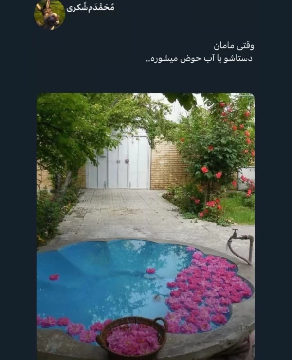 عکس