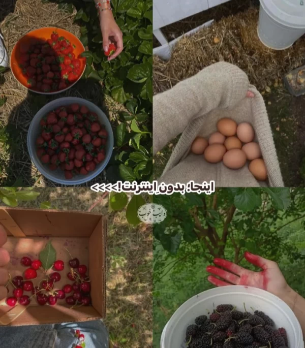 عکس