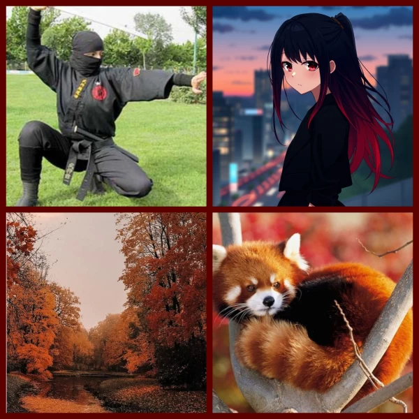 عکس