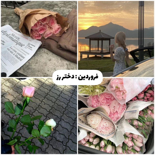 عکس