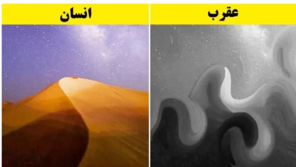 عکس