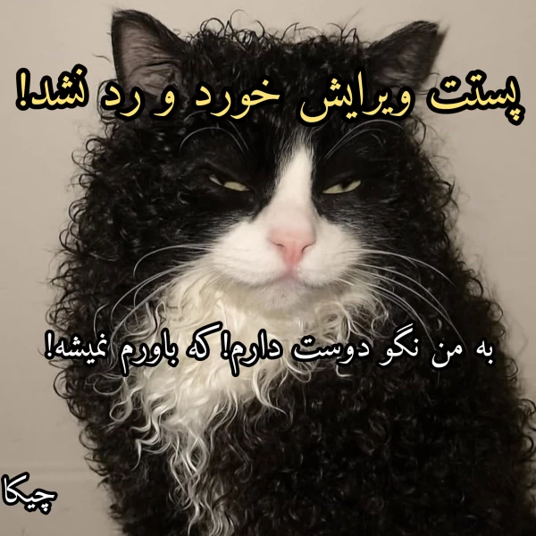 عکس