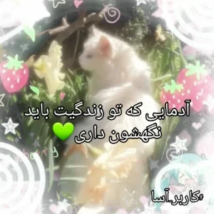 عکس}