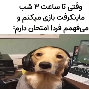 میم ماینکرفت🌎💫