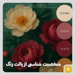 عکس شخصیت شناسی از انتخاب رنگ