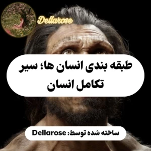 طبقه بندی انسان ها؛ سیر تکامل انسان