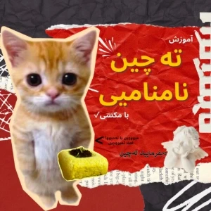 آموزش ته‌چین نامنامیی✓