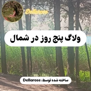 عکس}