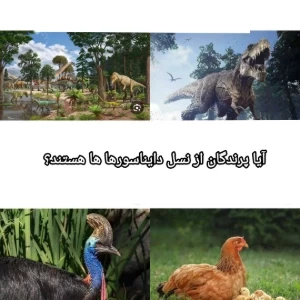 آیا پرندگان نوادگان دایناسورها هستند ؟