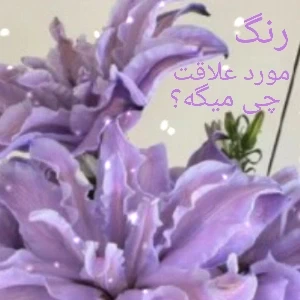 عکس رنگ مورد علاقت چی میگه؟